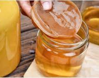 Lợi ích sức khỏe tuyệt vời của trà Kombucha