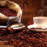 Xuất khẩu cà phê giảm cả về sản lượng và giá trị