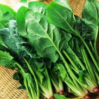 Tác dụng phụ của cái bó xôi bạn cần biết