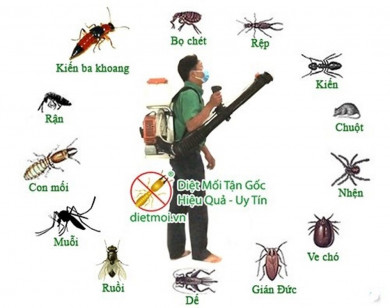 Sử dụng thuốc - chế phẩm diệt côn trùng trên đồng ruộng là vi phạm pháp luật