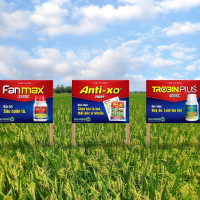 Chi phí sản xuất lúa Hè Thu 2021 tại ĐBSCL tăng 1.200 tỷ đồng