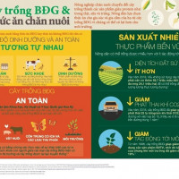 EU tiếp tục cấp phép thêm 10 sự kiện cây trồng biến đổi gen