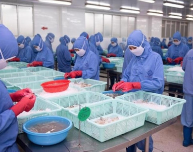 Các Hiệp hội ngành hàng gửi thư kiến nghị lên Chính phủ và Tổng Liên đoàn Lao động Việt Nam