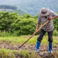 Biến đổi khí hậu sẽ là thách thức chính đối với sản xuất lương thực tại Đông Nam Á