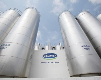 Vinamilk ghi tên “Sữa Việt” trên các bảng xếp hạng toàn cầu về giá trị sức mạnh thương hiệu