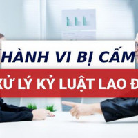 7 trường hợp không được xử lý kỷ luật người lao động