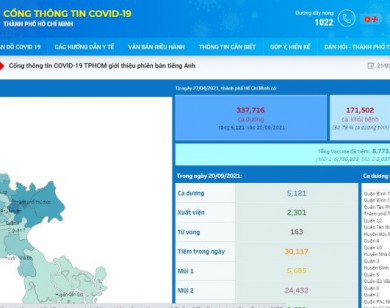TP Hồ Chí Minh ra mắt phiên bản tiếng Anh của Cổng thông tin Covid-19