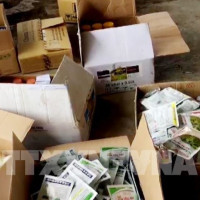 Phát hiện hơn 3.200 chai thuốc bảo vệ thực vật, phân bón không nguồn gốc ở An Giang