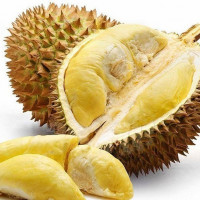Mách bạn cách bảo quản sầu riêng được lâu ngày