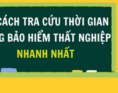 Cách tra cứu thời gian đóng bảo hiểm thất nghiệp