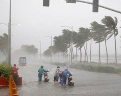 Dự báo thời tiết ngày 8/10/2021: Áp thấp nhiệt đới mạnh thành bão, miền Trung mưa to