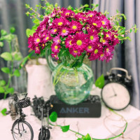 Tử vi hàng ngày - Chủ Nhật 10/10/2021 của 12 cung hoàng đạo