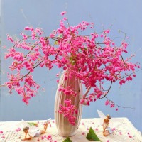 Tử vi hàng ngày - Thứ Hai 11/10/2021 của 12 cung hoàng đạo