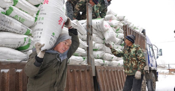 Từ ngày 15/10 Trung Quốc sẽ kiểm soát chặt xuất khẩu phân bón