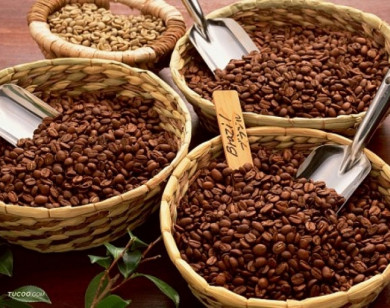 Xuất khẩu cà phê giảm về lượng nhưng tăng về trị giá
