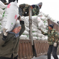 Từ ngày 15/10 Trung Quốc sẽ kiểm soát chặt xuất khẩu phân bón