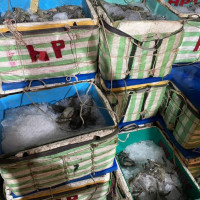 Cà Mau: Tạm giữ xe tải chở hơn 1 tấn tôm chứa tạp chất trên đường đi tiêu thụ