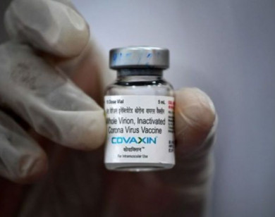 Bộ Y tế phê duyệt có điều kiện vaccine ngừa Covid-19 Covaxin của Ấn Độ