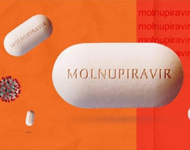Sở Y tế TP Hồ Chí Minh đề nghị Bộ Y tế cấp thêm 100.000 liều Molnupiravir