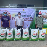 Phân bón Cà Mau chia sẻ khó khăn với nông dân trồng lúa