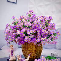 Tử vi hàng ngày - Thứ Tư 1/12/2021 của 12 cung hoàng đạo