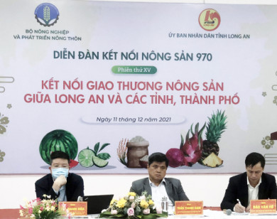 Long An: Người dân gặp khó khăn đưa nông sản tiếp cận thị trường TP Hồ Chí Minh 