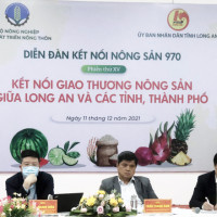 Long An: Người dân gặp khó khăn đưa nông sản tiếp cận thị trường TP Hồ Chí Minh 