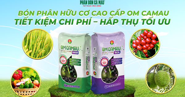 Phân bón hữu cơ cao cấp OM CAMAU - Giải pháp cho nông nghiệp hữu cơ