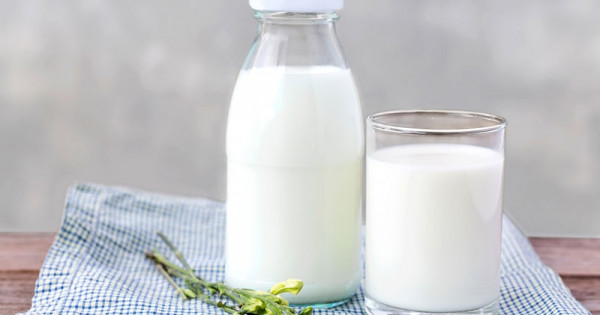 Nguy hiểm với sữa tươi chưa tiệt trùng