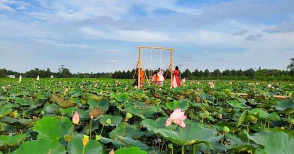 Biến vùng đất hoang hóa thành khu sinh thái miệt vườn để đền đáp quê hương