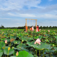 Biến vùng đất hoang hóa thành khu sinh thái miệt vườn để đền đáp quê hương