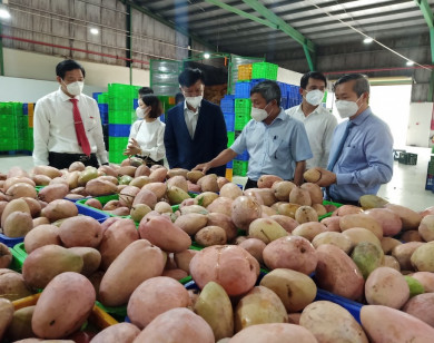 Đồng Nai: Xuất khẩu lô hàng nông sản (trái cây) chế biến đầu tiên ra nước ngoài