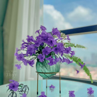 Tử vi hàng ngày - Thứ Năm 6/1/2022 của 12 cung hoàng đạo