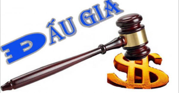 “Quân xanh, quân đỏ” trong đấu giá: Cách nào loại bỏ?