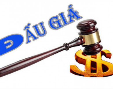 “Quân xanh, quân đỏ” trong đấu giá: Cách nào loại bỏ?