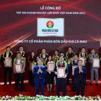 Phân bón Cà Mau đạt Top 500 doanh nghiệp lớn nhất Việt Nam năm 2021