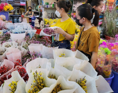 TP Hồ Chí Minh: Hoa cắm cành Trung Quốc lấn át hoa Việt dịp cận Tết