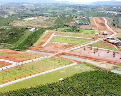 Phía sau "chiêu" hiến hơn 150 ha đất làm đường ở Lâm Đồng?