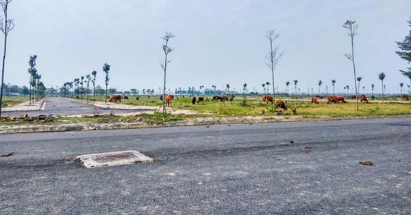 Hàng loạt sai phạm trong quản lý đất đai tại Đồng Nai - Bài 6: Nhiều dự án chậm tiến độ…