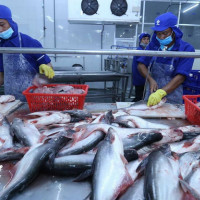 Xuất khẩu thủy sản tháng 2/2022 tăng 62,5%