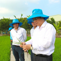“Sức mạnh sinh học” trên đồng ruộng