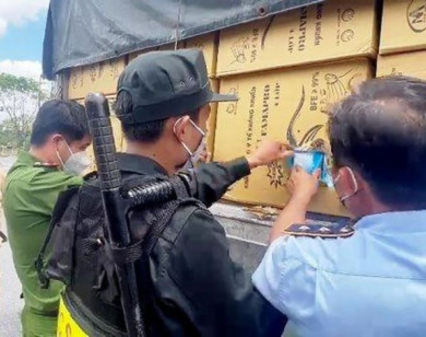 An Giang: Phát hiện 3 xe tải chở hơn 1.430 thùng khẩu trang y tế không rõ nguồn gốc