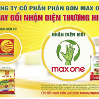 Phân bón MAX ONE nhận diện mới, tầm cao mới