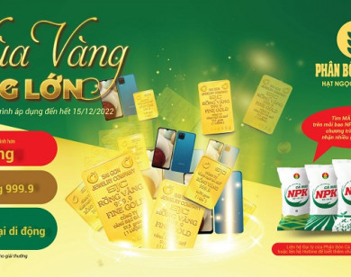 Phân Bón Cà Mau triển khai chương trình “Mùa Vàng Thắng Lớn”