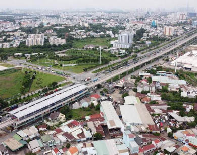Tự hào là công dân thành phố mang tên Bác