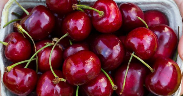cách ăn quả cherry