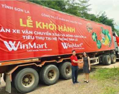 WinCommerce cam kết tiêu thụ 400 - 500 tấn xoài Sơn La