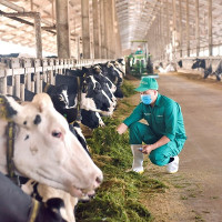 Mô hình phát triển bền vững “Vinamilk green farm” được chia sẻ tại Hội nghị sữa toàn cầu