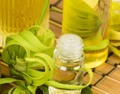 8 loại tinh dầu giúp giảm đau khớp và đầu gối hiệu quả