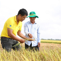 Phân bón Cà Mau: Nộp ngân sách nhà nước vượt xa kế hoạch 6 tháng đầu năm